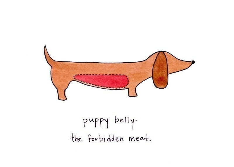 puppy belly ... the forbidden meat