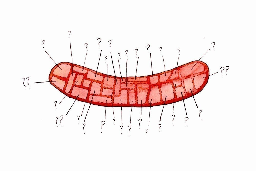 hot dog mystery print - 8.5 x 11 print