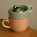 pastel blue and pink set of 2 Franciscan cups vintage