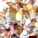 20 precut edible butterflies decoration - FREE SHIPPING - Assorted set 20 wedding cake toppers - Food Accessories by Uniqdots on Etsy