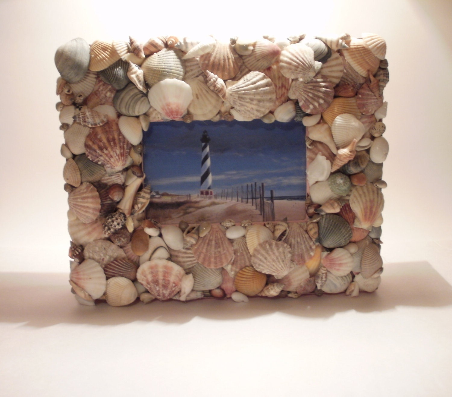 Sea Shell Shadow Box Picture Frame 4 x 6 in Natural Colors by Silk N Lights Designs