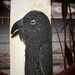 Crow Hand Carved Totem Spirit - Windwalker
