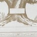 Family Tree Chart Displays 6 to 7 Generations of Your Genealogy, Large 22x34-Inch Size Ancestry Chart for Easy to Read Names & Dates