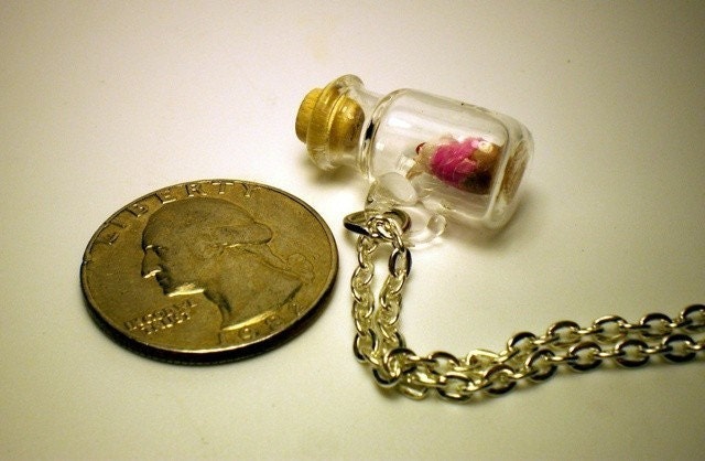 Teeny Tiny Cupcake in a Jar Necklace