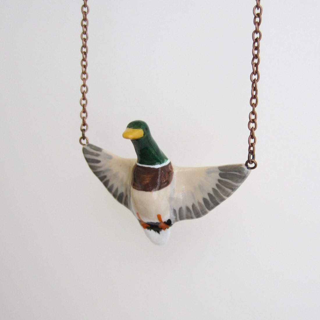 Anas platyrhynchos (Mallard) in flight