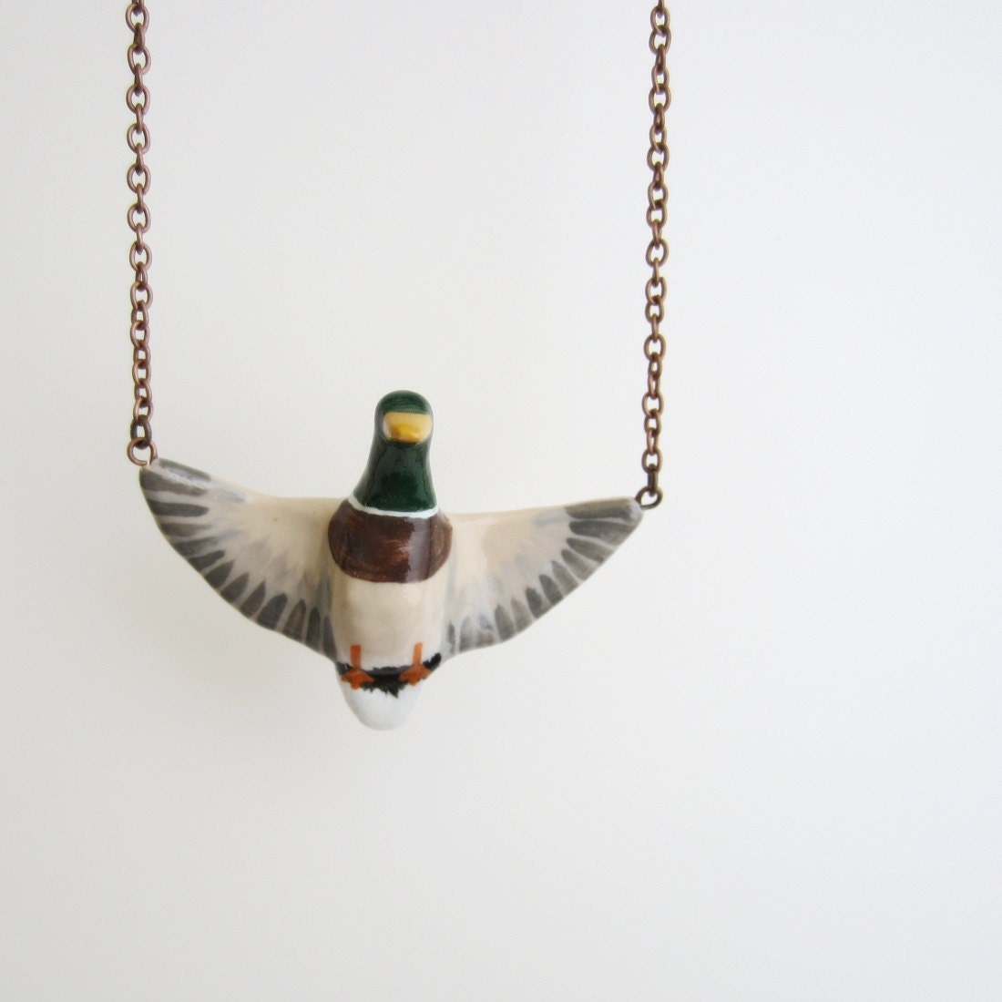 Anas platyrhynchos (Mallard) in flight