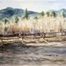Mountain Fence Reproduction- Colorado Watercolor- Brown Blue Beige- Realistic Woods Landscape Print-8x10