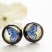 Morpho Butterfly - Nickel Free Antique Brass Stud Earrings