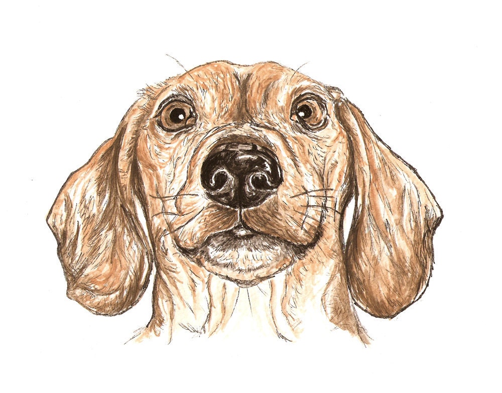 Custom Pet Portrait, dog, cat, rabbit etc
