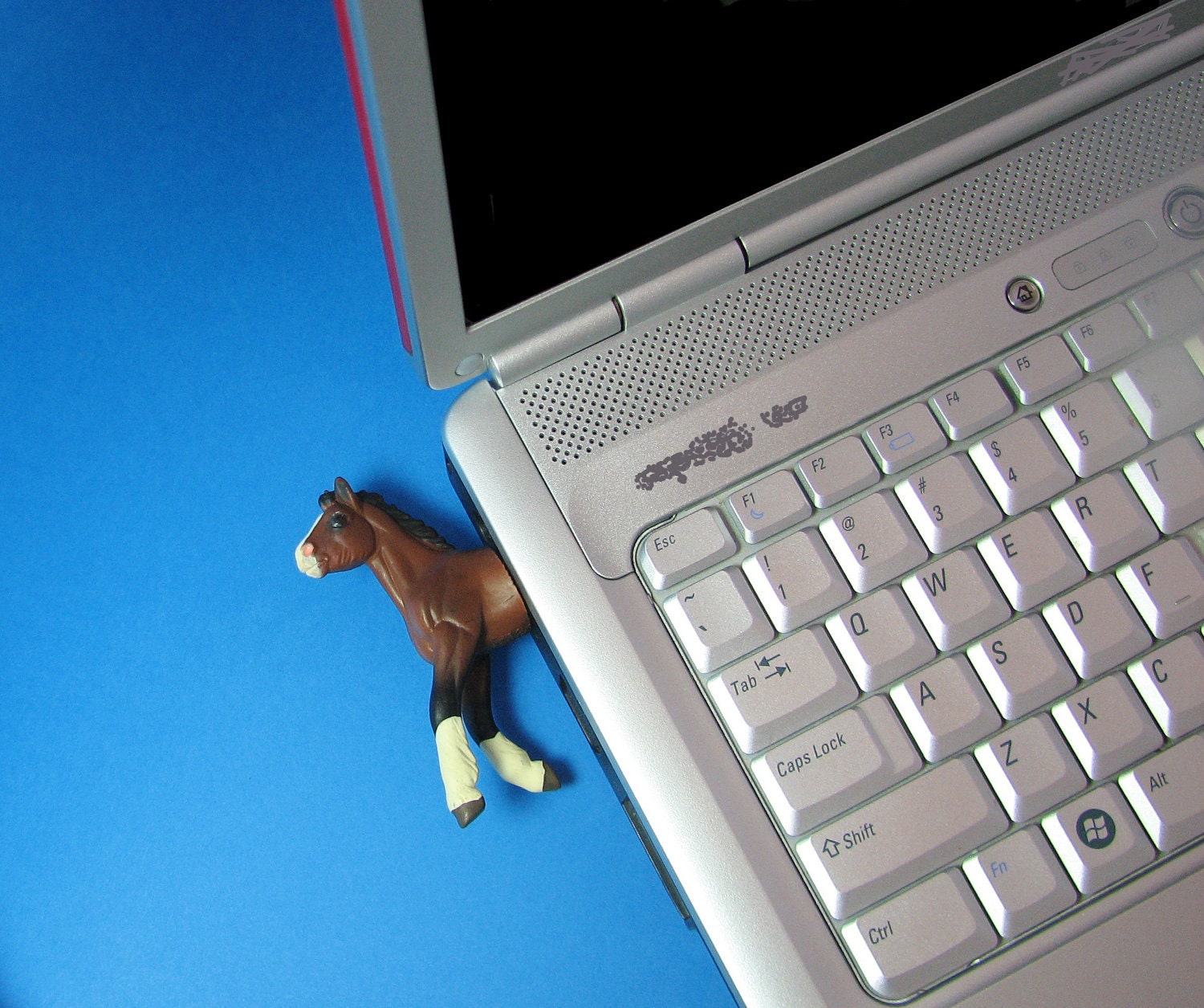 horse usb