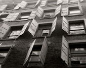 SHUTTERBUGS, 11x16 Fine Art Print
