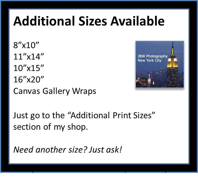 New York City Photograph - Flatiron Spring - Original Signed, Matted 8x10