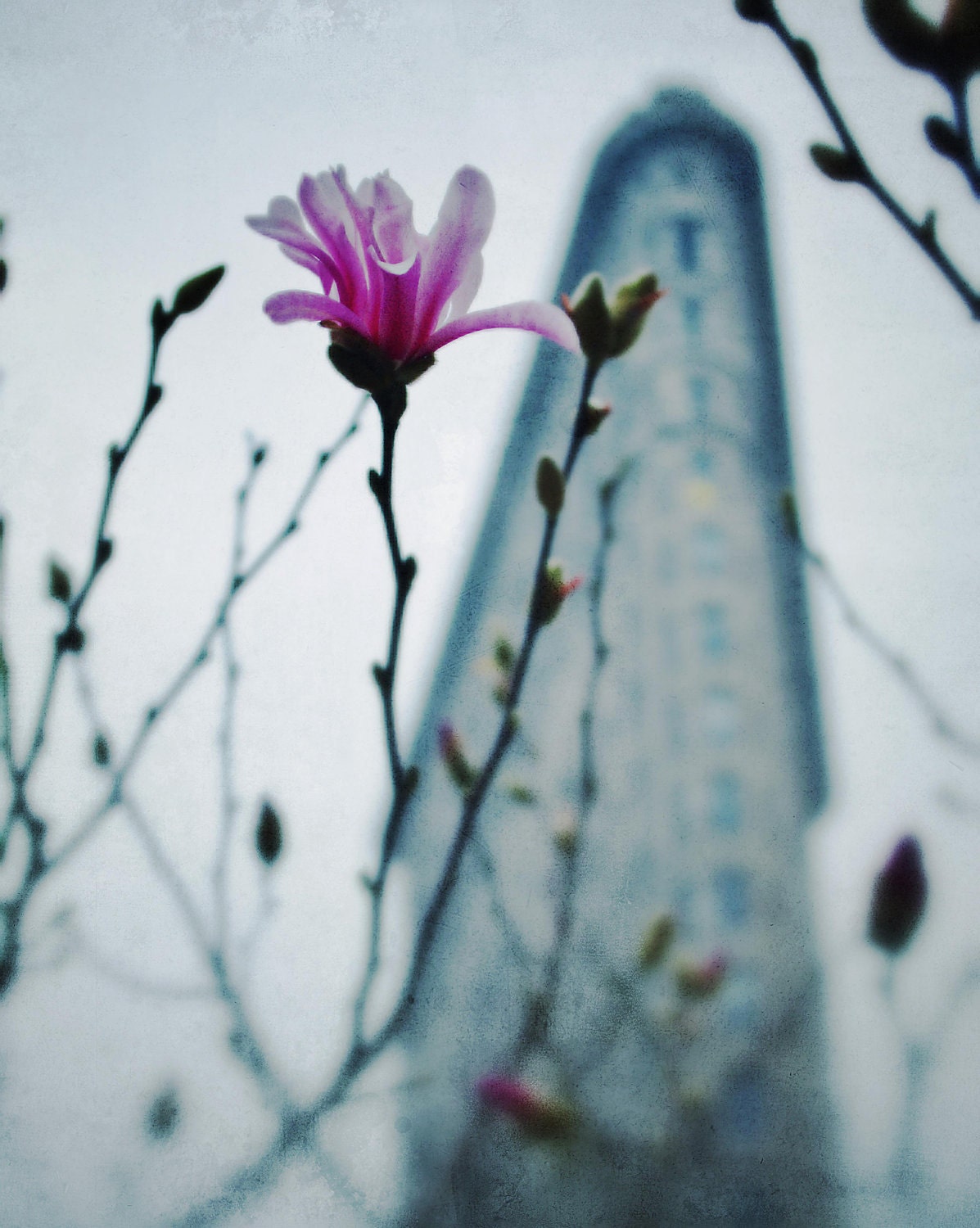 New York City Photograph - Flatiron Spring - Original Signed, Matted 8x10