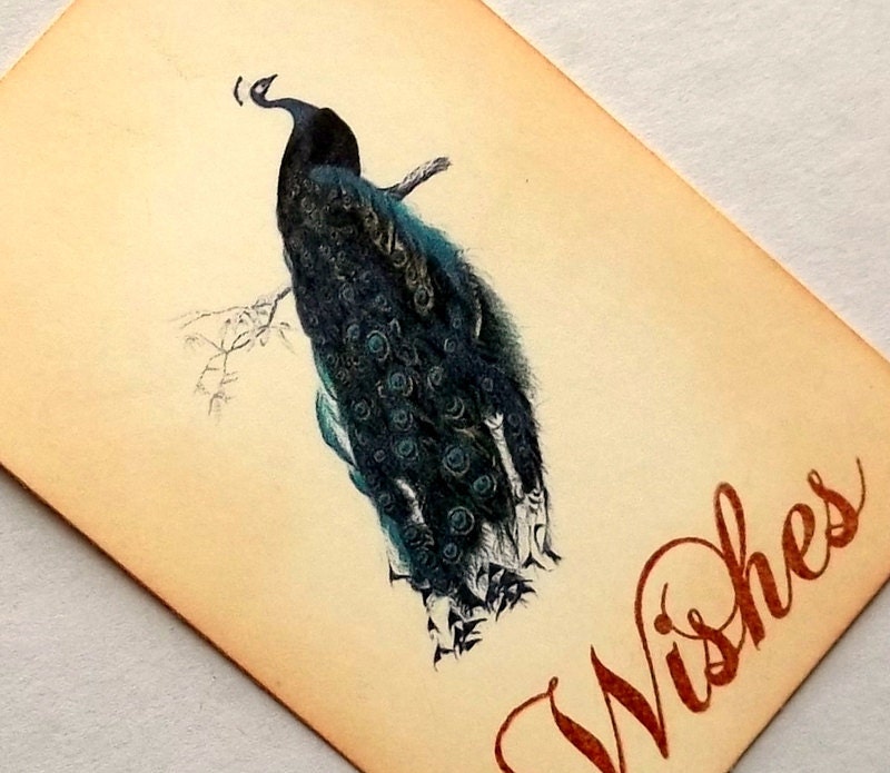 wedding wish tags, wish tree tag, Peacock, bird, sepia vintage inspired, set 10