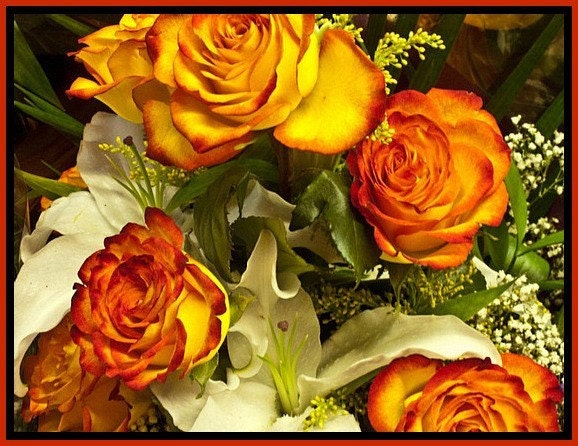 Thanksgiving Roses Blank Photo Card