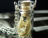 Tiny Real SNAKE BONES Ribs Vertebrae Glass Vial Jar Silver Gothic Unisex Necklace Pendant Small