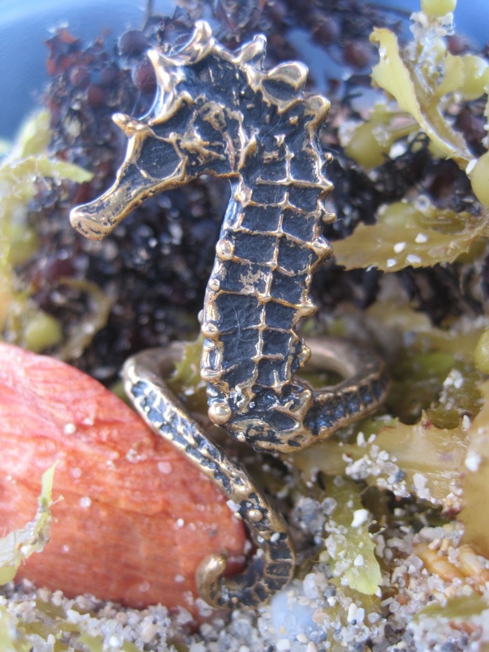 sea horse ring bronze