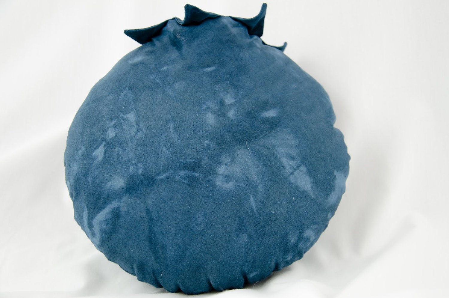Blueberry Pillow