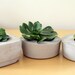 Indoor/Outdoor and Awesome Concrete Planter -Square-