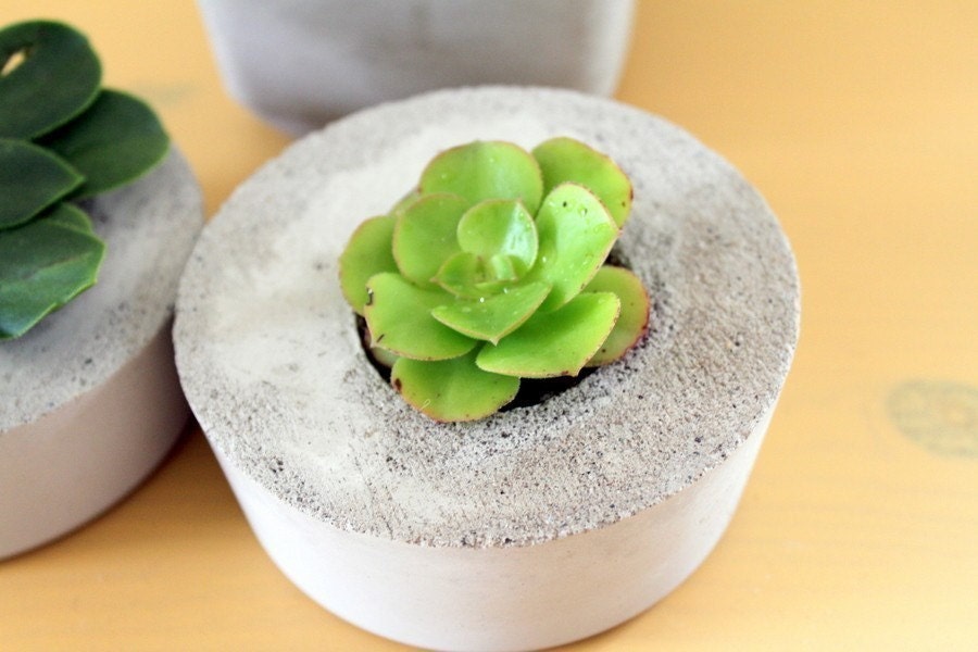 Indoor/Outdoor and Awesome Concrete Planter -Circle-