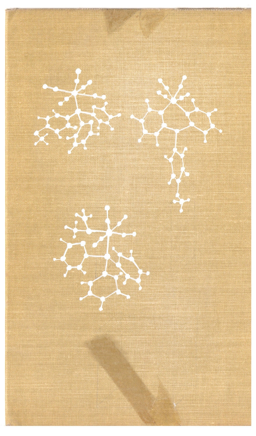 Molecular Structure // Fine Art Print