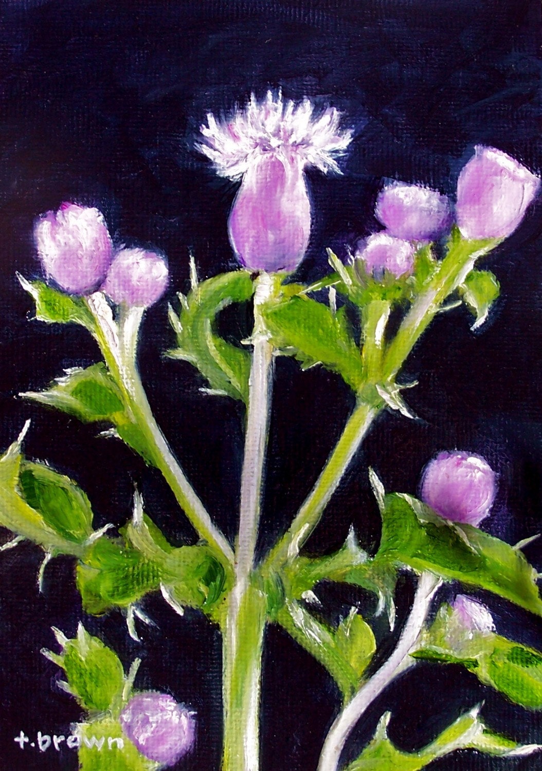 thistle --original oil painting-- garden / flowers