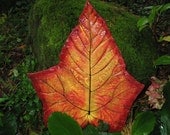 Fall leaf platter hand painted in Fiery Nature colors. OOAK cast from a real leaf 13in x 15in. Shipping Included