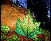 Spring green maple leaf wall art. Hand made in Oregon using a real maple leaf.  Shipping Included.