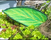Green Oregon Duck inspired concrete casting of a real Comfrey leaf. Shipping Included.