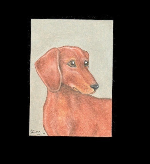 Dachshund Aceo Original artwork