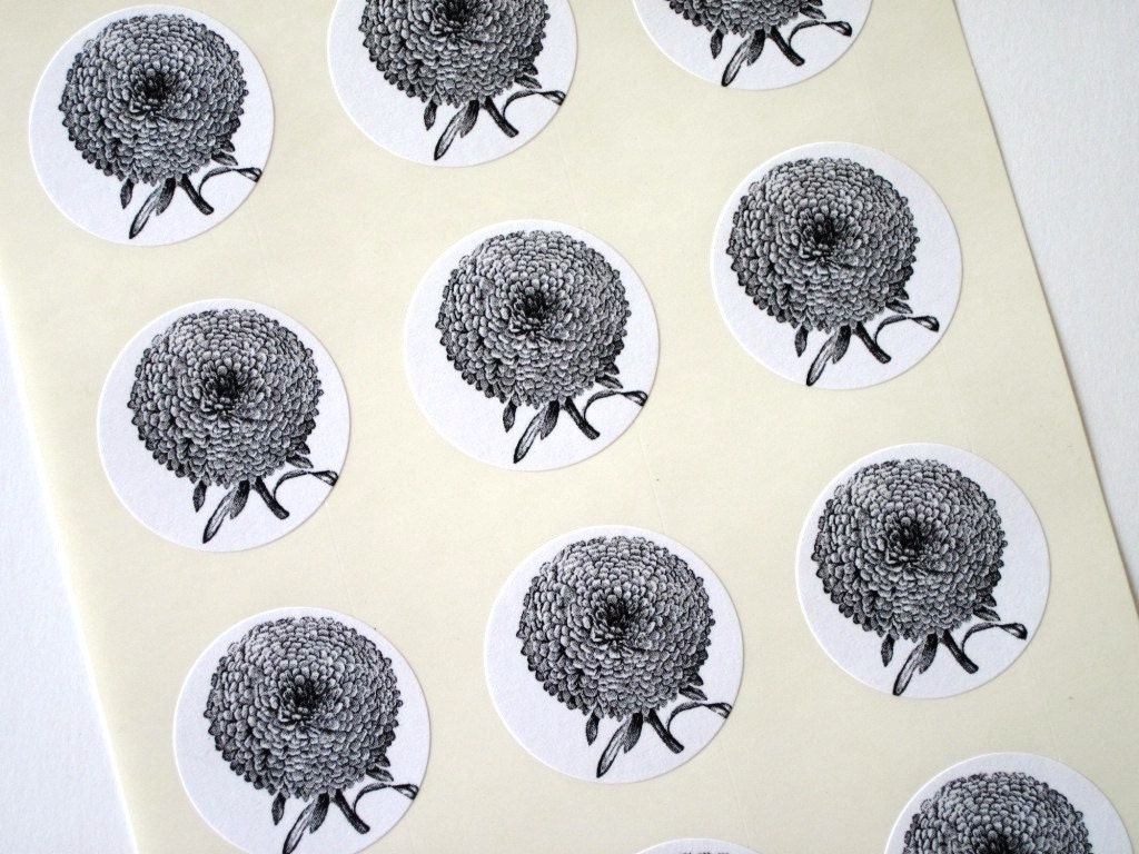 Aster Mum Flower Stickers One Inch Round Seals