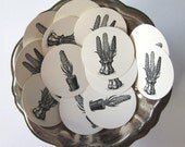 Hyacinth Potted Flower Gift Tags