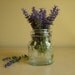 King pint mason jar, oval, stippled banner & crown