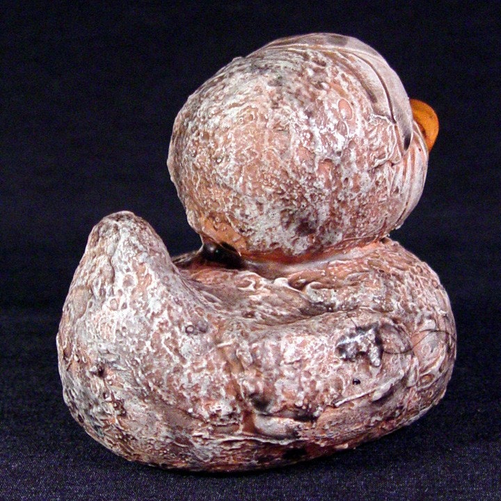 Rot Duck Silent Hill ooak