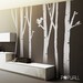 9ft Tall Birch Trees - winter birch tree Vinyl Wall Sticker Decal Art- 061