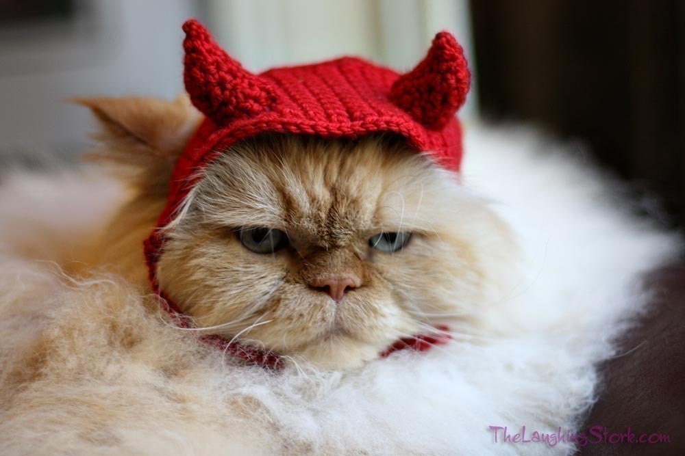pet hat - devil