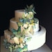 The Original EDIBLE BUTTERFLIES - Assorted Green set of 30 - Cake & Cupcake toppers - Food Accessories