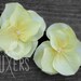 Swarovski Embellished Yellow Hydrangea Baby Headband