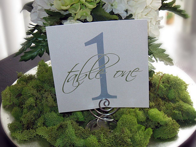 Starlight Metallic Collection Wedding Table Numbers--Customize--Colors can be changed