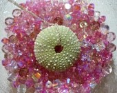Anemone On Sterling, a necklace