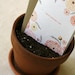 Plantable Mother's Day Card - Ranunculus