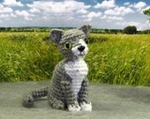 PATTERN - Crocheted Amigurumi Cat Pattern