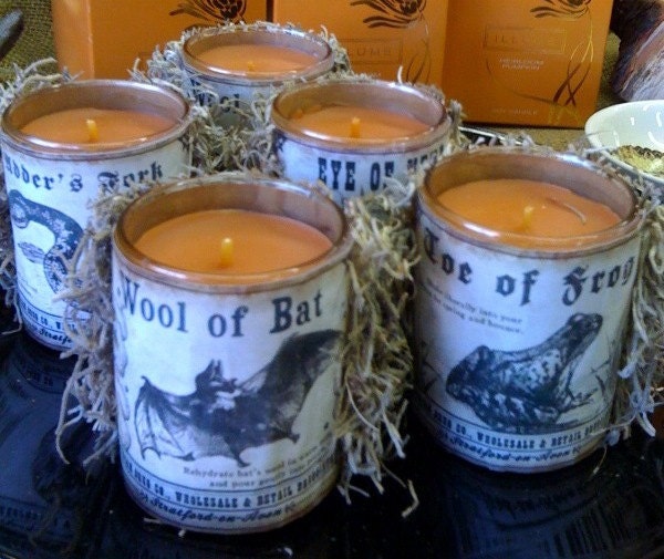 RESERVED FOR BREEN - Decorated Pumpkin Spice Candle, Wool of Bat