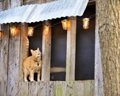 Mason Jar Strand with Lights 20 feet long