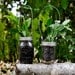 Mason Jar Christmas Cactus Planter