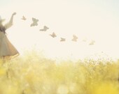 Dancing with Butterflies
