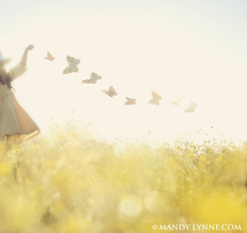 Dancing with Butterflies