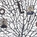 assemblage art - 'tree of life'
