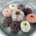 Shell Decor Sea Urchin Collection