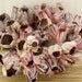 Beach Decor Large Purple Barnacle Cluster